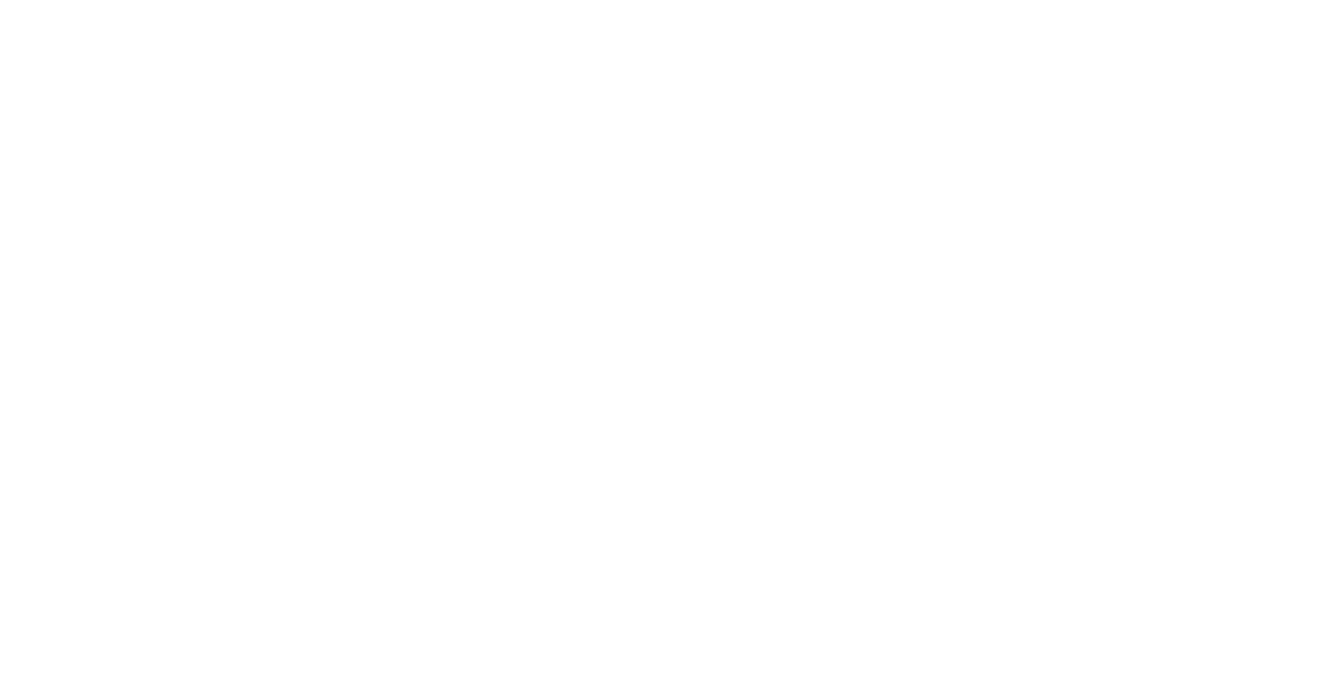 شرکت بزرگ مقیاس هوشمند